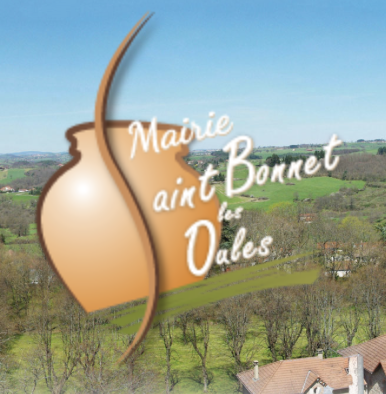 Logo mairie saint bonnet les oales